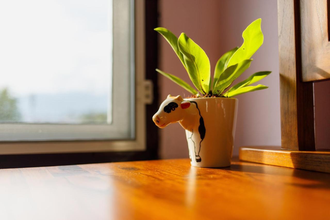 Mesa Guesthouse Chiang Mai Ngoại thất bức ảnh